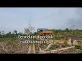 Download Lagu Bermalam di Pondok Tengah Hutan//berjuang untuk keluarga