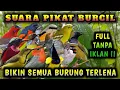 Download Lagu SUARA PIKAT BURCIL PALING AMPUH || SUARA PIKAT SOGON AMPUH ANTI ZONK || SUARA PIKAT BURUNG RIBUT