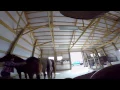 GoPro: Wild Mustangs - A Legacy in 4K