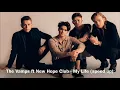Lagu The Vamps ft New Hope Club - My Life (Speed Up)