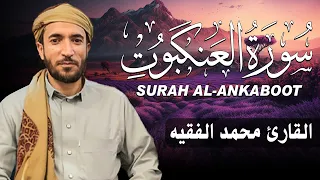 سورة العنكبوت كاملة مكتوبة للقارئ الشيخ محمد الفقيه تلاوة خاشعة ومؤثرة 