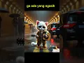 Download Lagu Kucing ngamen #kucing #cartoon #cartoon #sedih #shortsvideo #ai