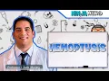 Hemoptysis Clinical Medicine