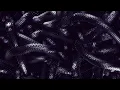 Metall Snake Live Wallpaper