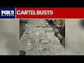 Cartel bust gets drugs, guns and suspected gang members off the streets | FOX 5 News