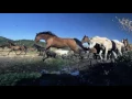 Christy Moore Ride On