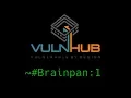VulnHub - Brainpan 1 Stack buffer overflow exploitation