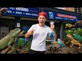 I Visited One Of The Most Exotic Pet Stores in Ontario