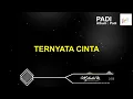 Download Lagu [Karaoke Lirik Lagu] Padi - Ternyata Cinta (Karaoke+Lyric+Audio Visualizer)