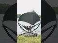 Download Lagu The Perfect Outdoor Escape! Try anymaka Portable Hammock