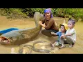 Download Lagu Amazing Giant Fish Pond Harvest for Market Sale | Cook Warm Porridge for Little Daughter
