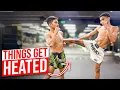 Download Lagu High-Level Muay Thai Sparring in Bangkok | Young Fighter vs Veteran Teammate