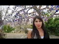 Download Lagu LISINYA TUR KAPADOKYA VLOG VOLKANTEKCAN