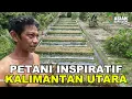 Download Lagu PAK HERI, PETANI INSPIRATIF ASAL MALANG DI PERMULIMAN TRANSMIGRASI SP3 TANJUNG BUKA KALIMANTAN UTARA