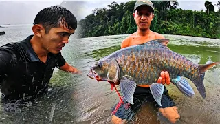 51H Sống Giữa Rừng Mưa | Làm Nơi Trú Ẩn Săn Cá Lăng RỪNG Và Đại Tiệc Ăn Mừng 51 triệu Người Đăng ký