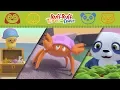 Download Lagu Ruff-Ruff, Tweet and Dave Compilation | A Beach Adventure AND MORE | Cartoons for Children