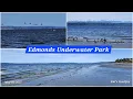 Edmonds Underwater Park Low-Tide Beach Walk April 15 2025