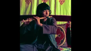 توله زیبا و دلنشین از نور محمد فدایی 