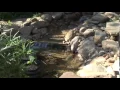 Smartpond s How to Build a Pond or Water Feature