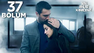 مسلسل البحر الأسود الحلقة الكاملة 37 