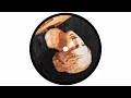BANG BANG - Malachiii & PAWSA