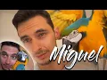 Download Lagu Vi presento Miguel il pappagallo più bello del mondo