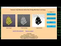 Python Code for Tomato Leaf Disease Detection Using CNN Convolutional Neural Network