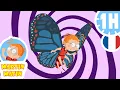 Download Lagu 🦊Martin Matin l'ami des animaux!🐝 - Compilation FR