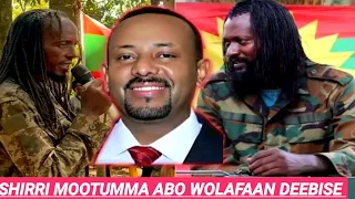 ODUU IJOO WOLDHABDE ABO JAAL SANYII FI JAAL MARROO IRRATTI 