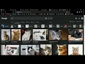 CS50 Web Programming - Project 0 Search