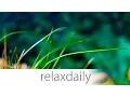 Download Lagu Light \u0026 Easy Background Music - Season 3