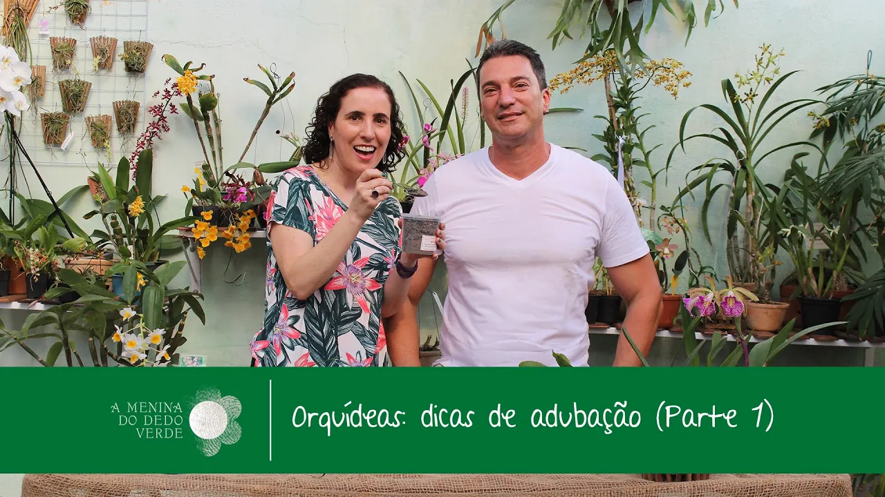 COMO ADUBAR ORQUÍDEAS PARTE 1 COM REINALDO ILACI