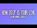Calvin Harris, Disciples - How Deep Is Your Love (Sub. Español + Lyrics)