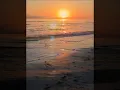 Drifting too far from the shore- Seldom Scene