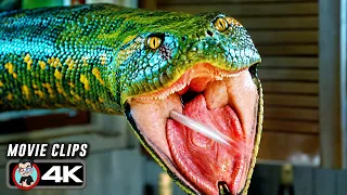 Every Scene Where The ANACONDA Attacks 🔥 4K