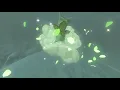 Korok seeds Hebra West Summit Hebra Tower - Zelda BOTW