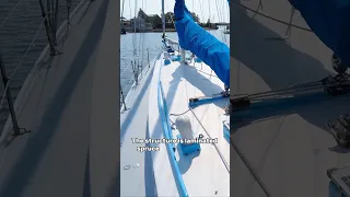 DIRT CHEAP & Unique 44′ DREAM Schooner [#shorts Tour]