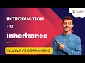 Java Inheritance Understanding the Fundamentals of Object-Oriented Programming Java Programming