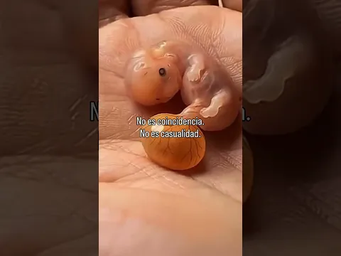 La creación de la vida es perfecta ❤️