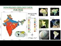 Geology Data Shapefile for any Location