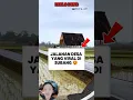 Download Lagu Jalan Desa Yang Lagi Viral ☝❗❗#shorts #videoshort #viralvideo