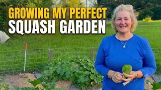 Growing My Perfect Squash Garden