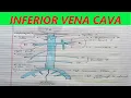 INFERIOR VENA CAVA INCLUDING FREE ONLINE TEST IVC TRIBUTARIES COURSE RELATIONS