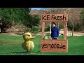 Download Lagu New Duck Song video! Live action: The Duck Song IRL (In Real Life).