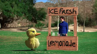 New Duck Song Live action The Duck Song IRL In Real Life