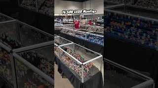 He collected 16,500 LEGO minifigures!