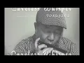 Download Lagu 【Careless Whisper】ーーCHROMATIC HARMONICA（Tokunaga Sound）