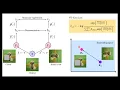 SimCLR Architecture in 3 minutes