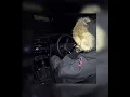 eo - german (sped up)