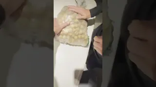 Our big bag of traded fruit tastes… good! #sailingfamily #indonesia